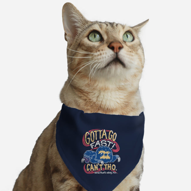 Can't Go Fast-Cat-Adjustable-Pet Collar-Aarons Art Room