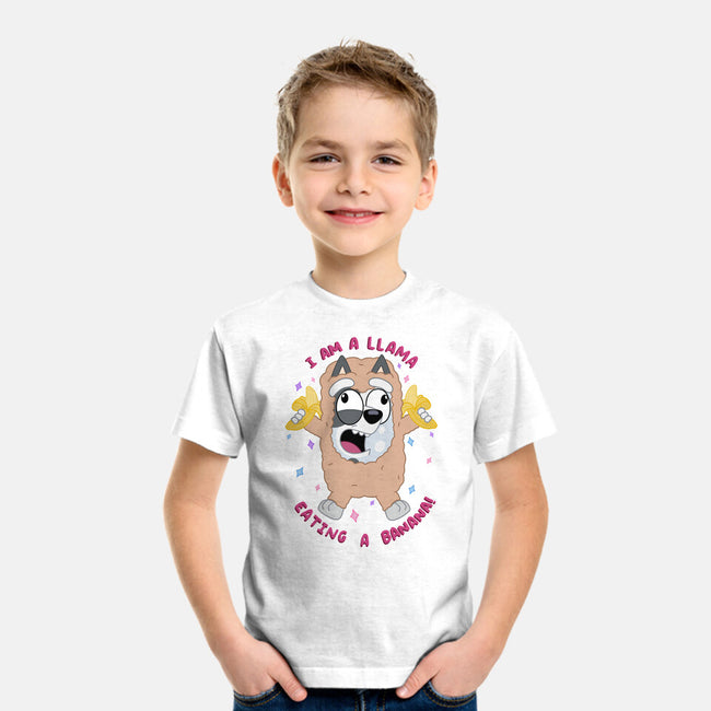 I Am A Llama-Youth-Basic-Tee-Alexhefe