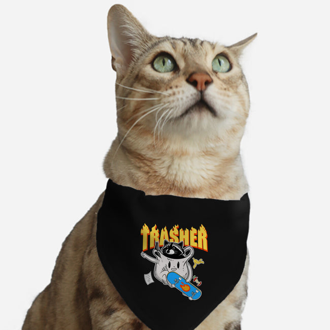 Trasher Panda-Cat-Adjustable-Pet Collar-Tri haryadi