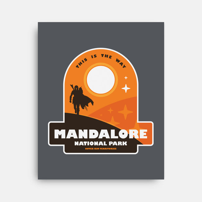 Mandalore National Park-None-Stretched-Canvas-BadBox