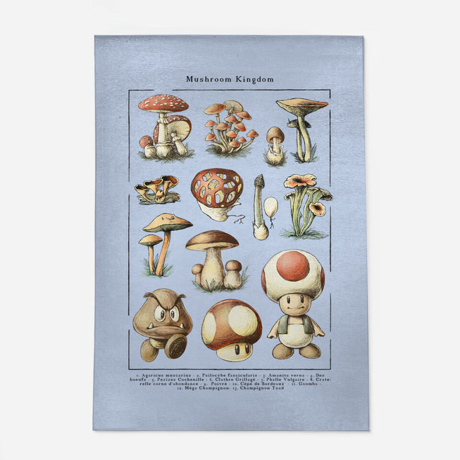 The Mushroom Kingdom-None-Indoor-Rug-BlancaVidal