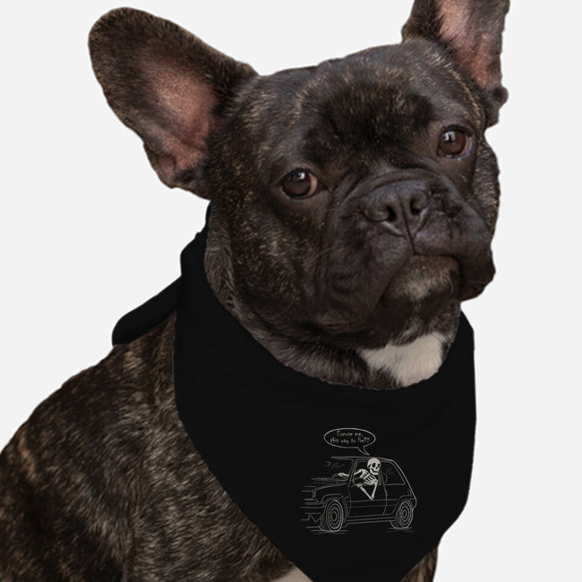 The Way To Hell-Dog-Bandana-Pet Collar-NMdesign