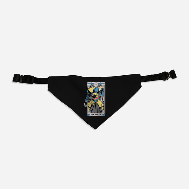 Wolverine Tarot-Dog-Adjustable-Pet Collar-turborat14