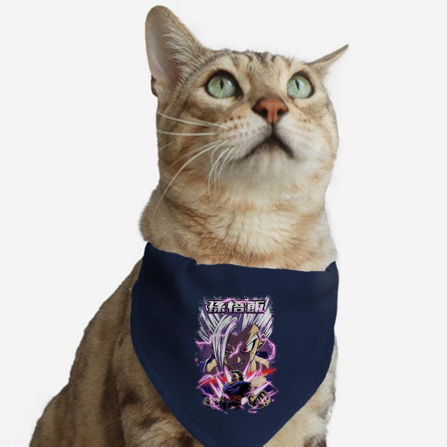 The Warrior Beast-Cat-Adjustable-Pet Collar-Diego Oliver