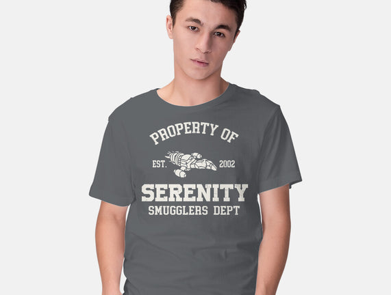 Property Of Serenity