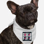 Neo Days-Dog-Bandana-Pet Collar-Gleydson Barboza