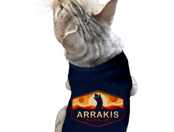 Visit Arrakis