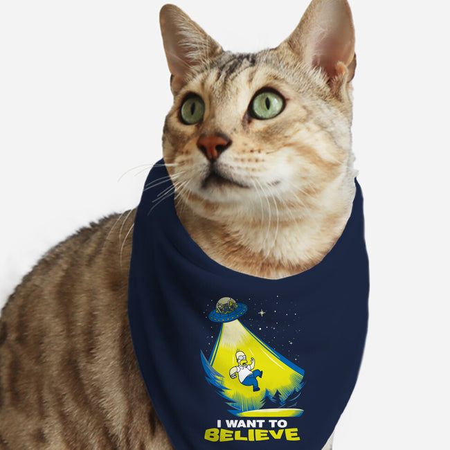 I Want To Believe-Cat-Bandana-Pet Collar-dalethesk8er