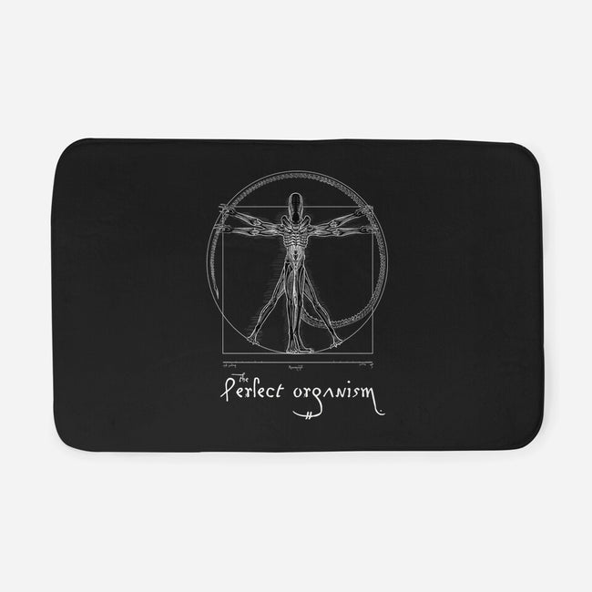 Perfect Organism-None-Memory Foam-Bath Mat-daobiwan