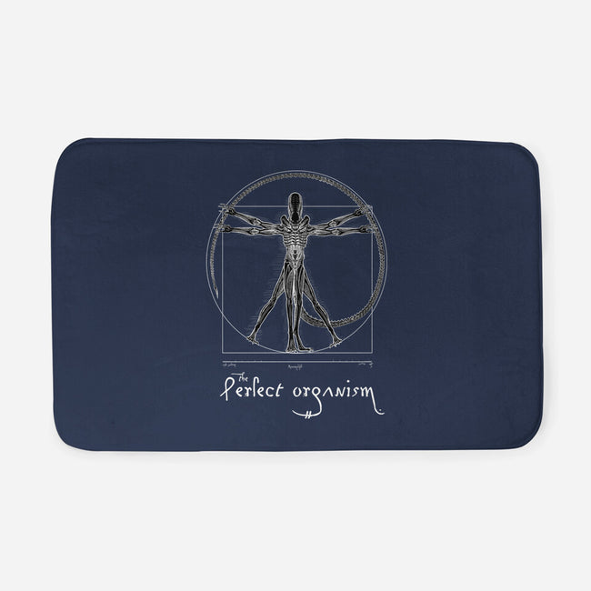 Perfect Organism-None-Memory Foam-Bath Mat-daobiwan