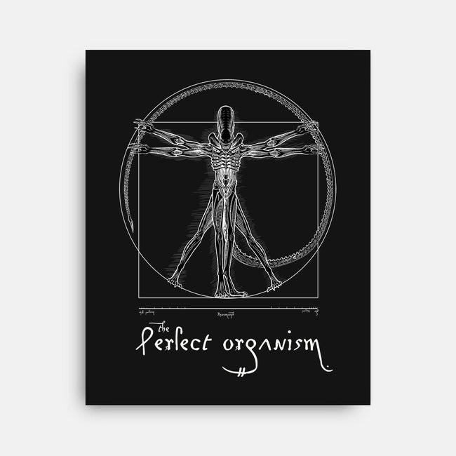 Perfect Organism-None-Stretched-Canvas-daobiwan