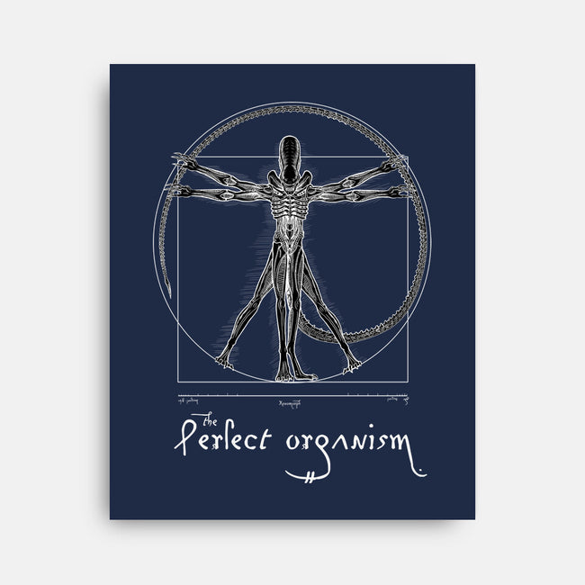 Perfect Organism-None-Stretched-Canvas-daobiwan