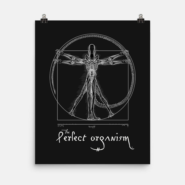 Perfect Organism-None-Matte-Poster-daobiwan