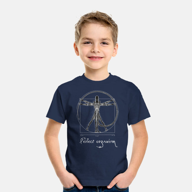 Perfect Organism-Youth-Basic-Tee-daobiwan