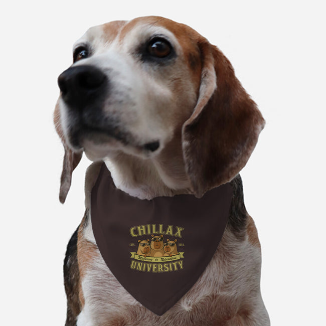 Chillax University-Dog-Adjustable-Pet Collar-erion_designs