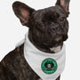 Surprise Coffee-Dog-Bandana-Pet Collar-spoilerinc