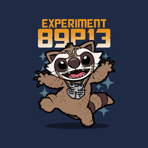 Experiment 89P13