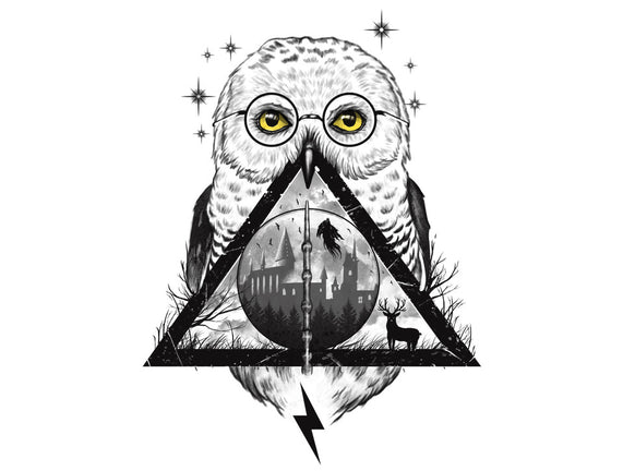 Owls and Wizardry