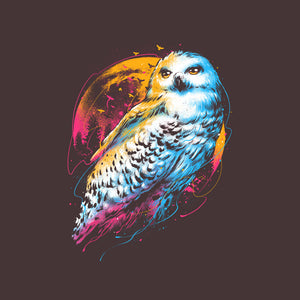 Colorful Owl