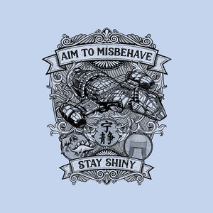 Aim to Misbehave