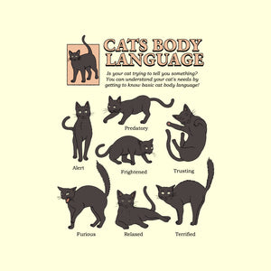 Cats Body Language