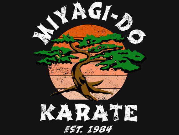 Miyagi Karate