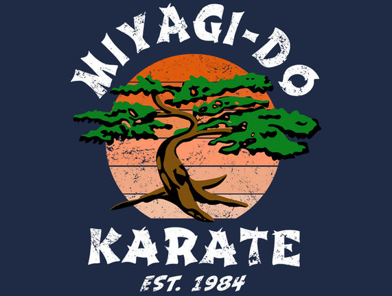 Miyagi Karate