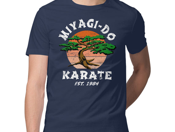 Miyagi Karate