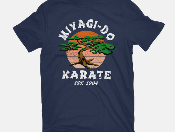 Miyagi Karate