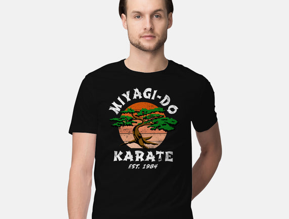 Miyagi Karate