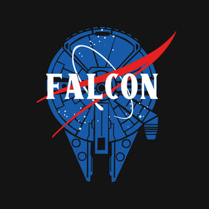 Falcon Nasa