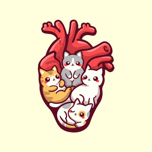 Cat Lover Anatomy