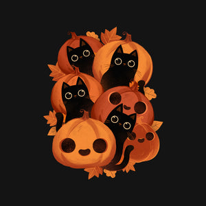 Pumpkins And Black Cats