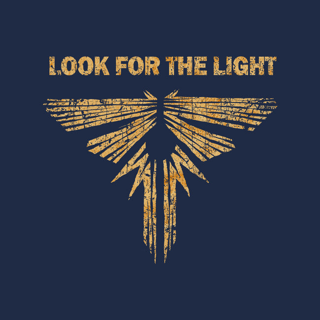 Looking For The Light-mens heavyweight tee-kg07