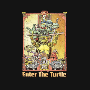 Enter the Turtle