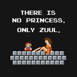 There Is No Princess