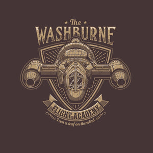 Washburne Flight Academy